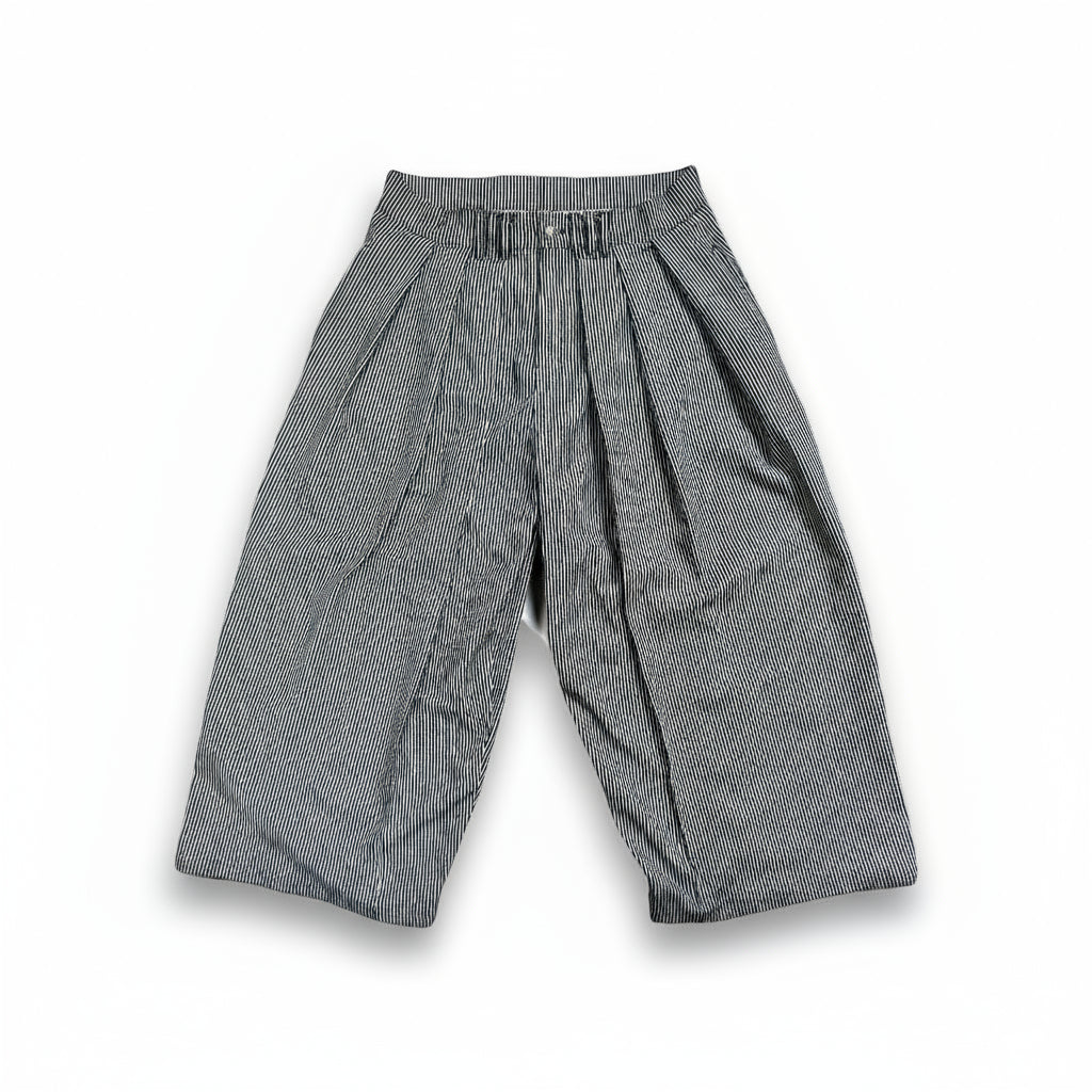 Pin- Stripe Pleated Pant