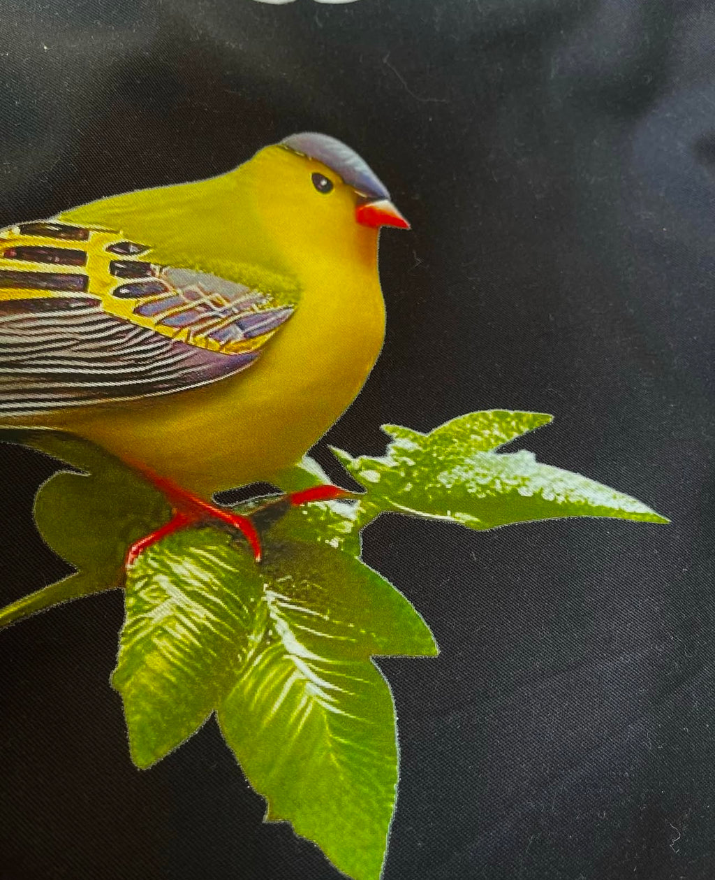 Garcon Le Fleur Jacket