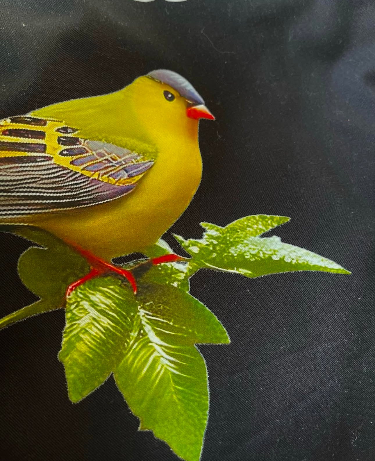 Garcon Le Fleur Jacket